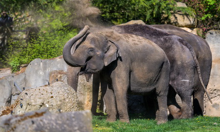 Zoologická zahrada hl. m. Prahy